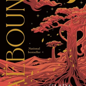 Faebound book cover