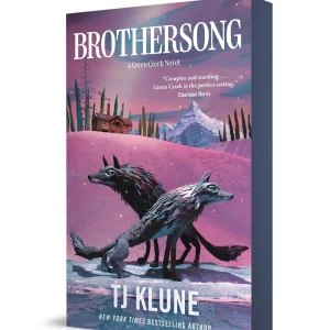 Brothersong book cover