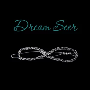 Dream Seer book cover